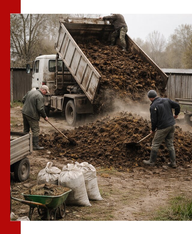 Доставка коровьего навоза самосвалом в Назрани